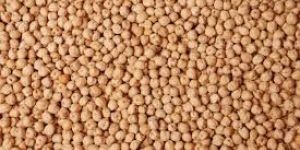 White Chickpeas