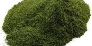 Neem Powder