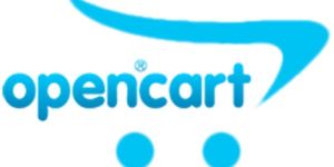 Opencart Development Service