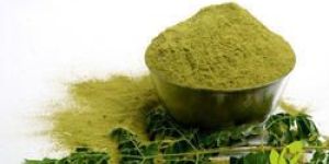 Moringa Powder