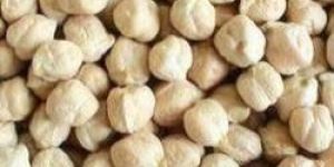 Organic White Chickpeas