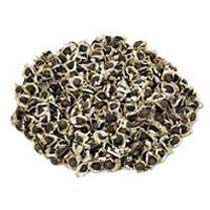 Moringa Conventional Seeds