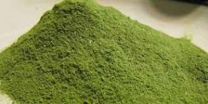 Moringa Masala Mix Powder