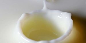 Silicone Emulsions and Oil