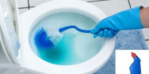 Toilet Cleaner