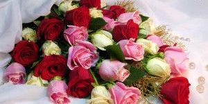 Fresh Flowers