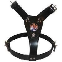 Leather Harness