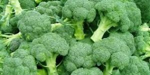 Fresh Broccoli