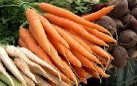 Root Vegetables