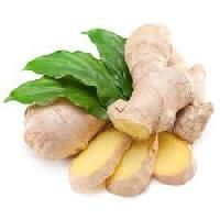 Organic Ginger