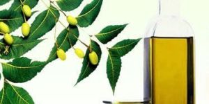 Neem Oil