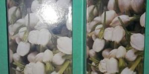 Shreyansh Mogra Incense Sticks