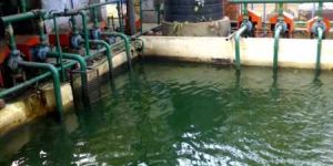 Effluent Water Treatment Plant