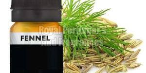 Sweet Fennel Oil