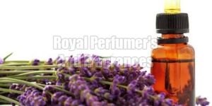 Lavender Oil
