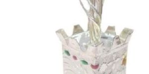 Silver Tulsi Plant