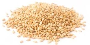 Sesame Seeds