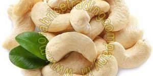 Cashew Nuts