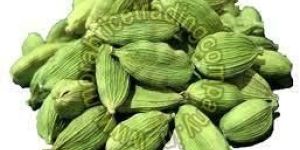 Green Cardamom