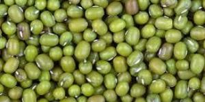 Green Mung Beans