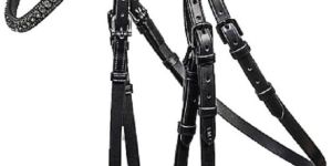 Horse Bridle