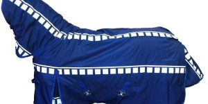 Horse Riding Clothing