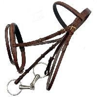 Horse Bridle