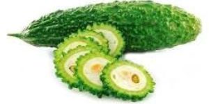 Fresh Bitter Gourd