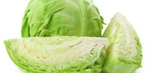 Fresh Cabbage