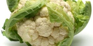 Fresh Cauliflower