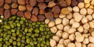Indian Pulses