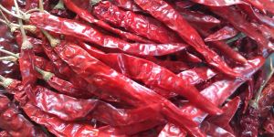 Dried Red Chilli