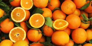 Fresh Orange