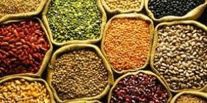 Indian Pulses