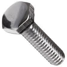 Stainless Steel Bolts