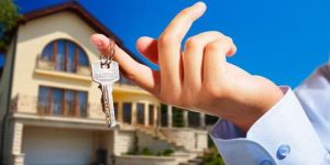 Real Estate Consultant