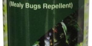 Pesticides