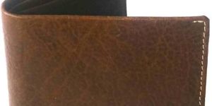 Leather Brown Men Regular Wallet