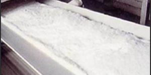 Food Grade Conveyor Belt