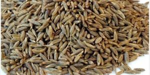Cumin Seeds