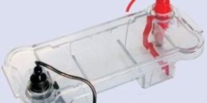 Electrophoresis Horizontal System