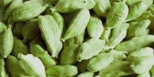 Green Cardamom