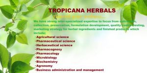 Formulation development service R&D