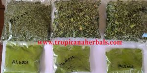 Moringa Leaf Powder