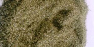 Moringa Leaves Tea Cut (TBC)