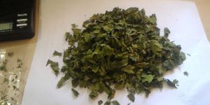 Mulberry Leaves Tea Cut (TBC)