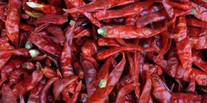 Dry Red Chilli