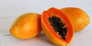 Papaya