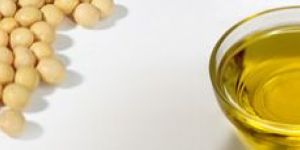 Soybean Refined Oil