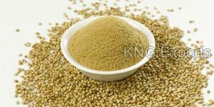 Coriander Powder